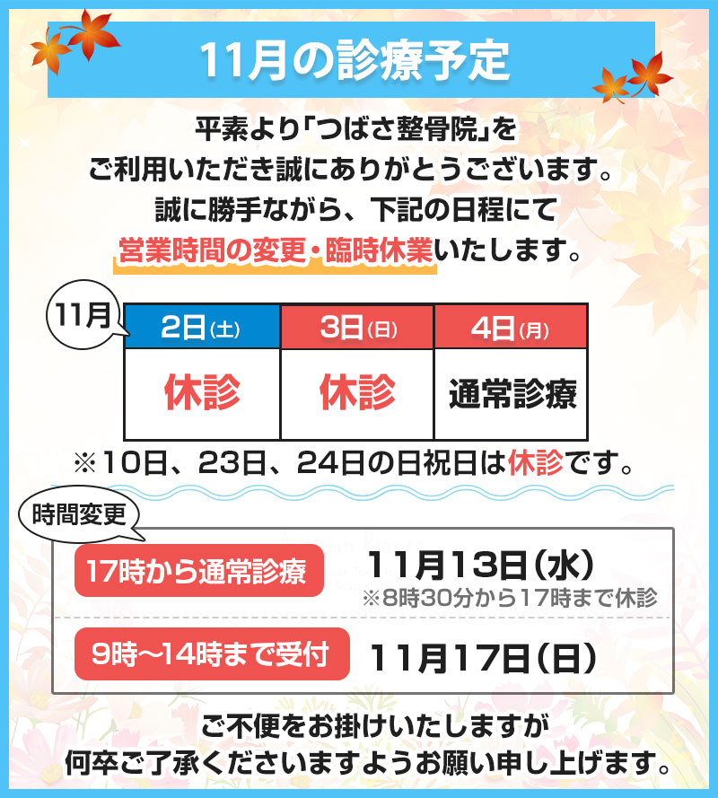 11月の診療予定