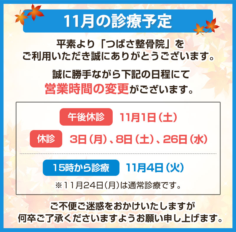 ”11月の診療予定"